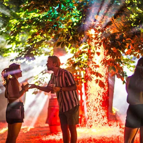 Données personnelles et cookies